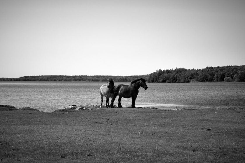 Schweden